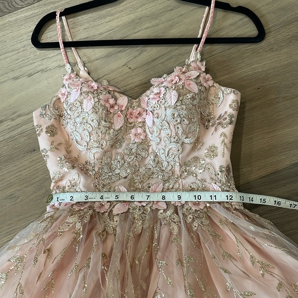 Dancing Queen Blush Pink Gold Embroidered Tulle Floral Mini Dress Size XS - Picture 14 of 16